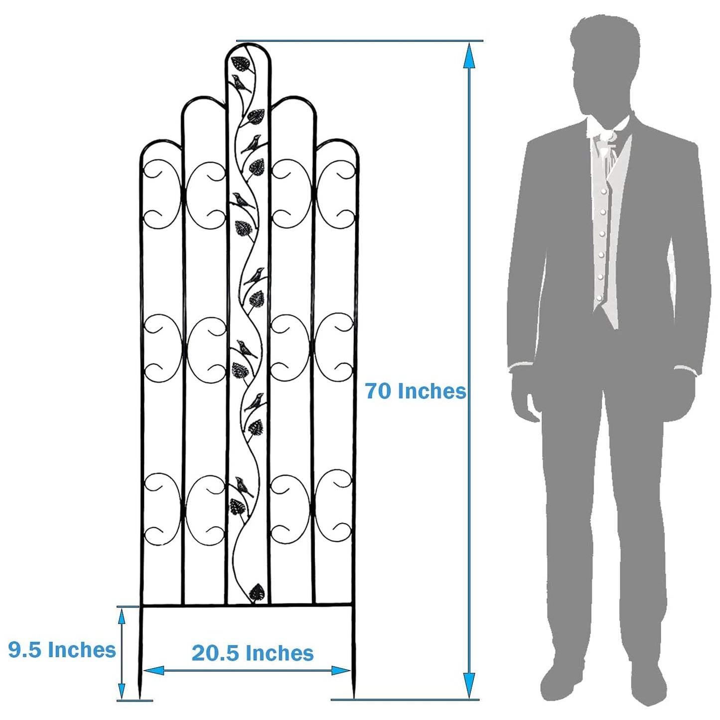 Montresor Online Heavy Duty Trellis for Garden and Climbing Plants and Vines