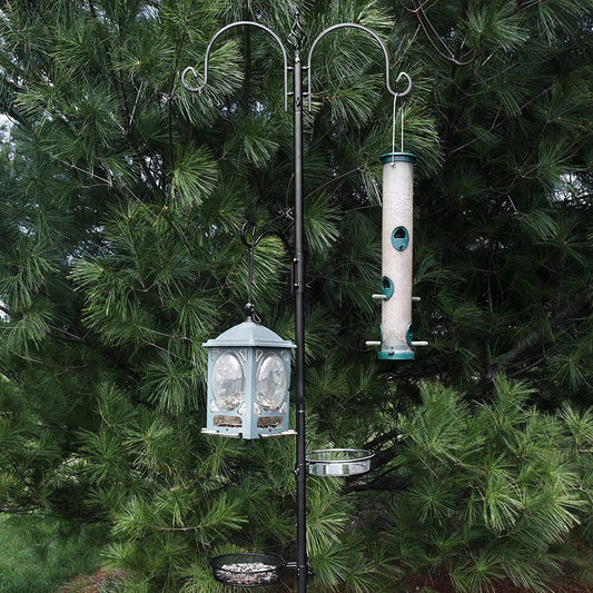Montresor Bird Feeding Station for Outside -Multi Bird Feeder Pole Stand Kit