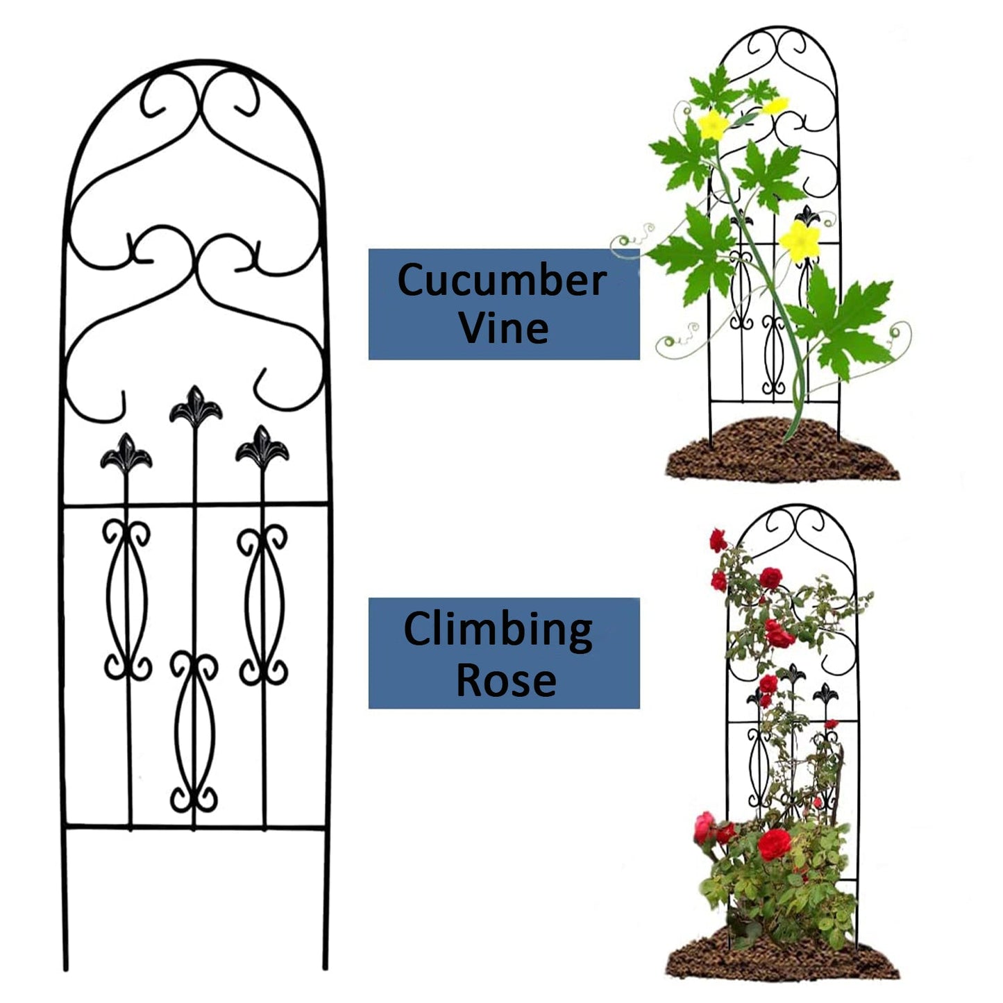 Montresor Spade Design Trellis (1 Pack) for Garden and Climbing Plants and Vines
