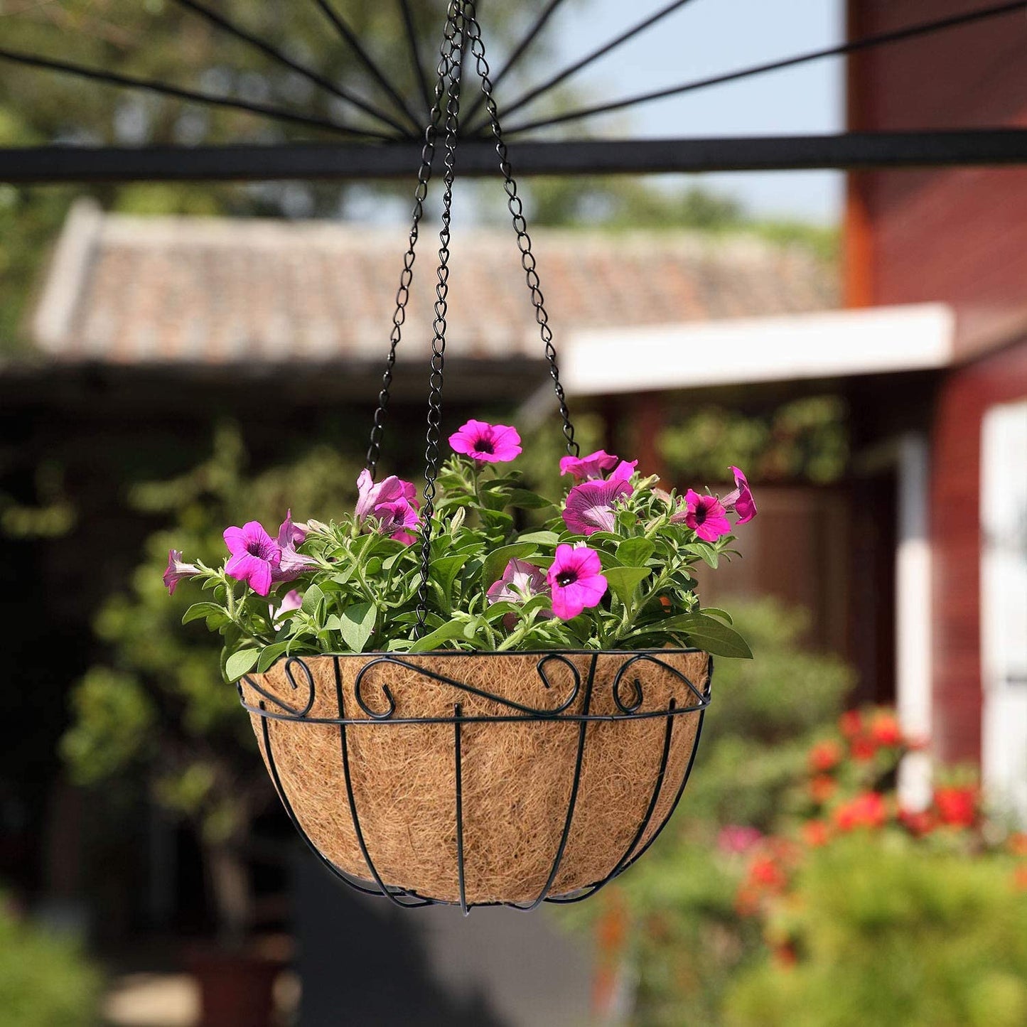 Montresor Metal Hanging Planter Basket with Coco Coir Liner Round Wire