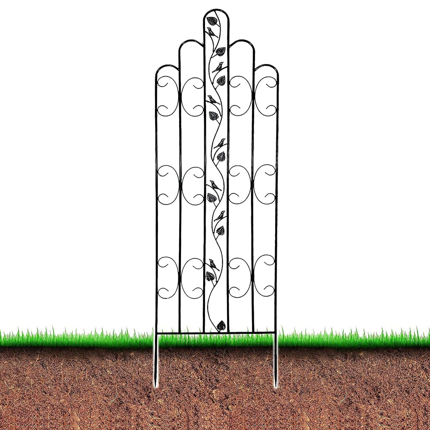 Montresor Online Heavy Duty Trellis for Garden and Climbing Plants and Vines