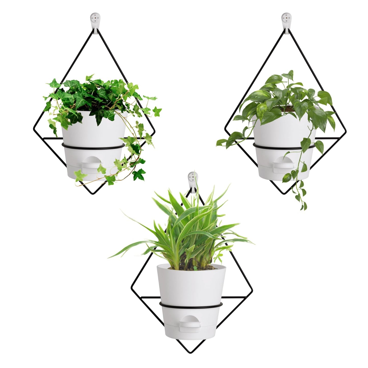 Montresor Set of 3 Gold-White 5 inch Wall Planters for Indoor Plants
