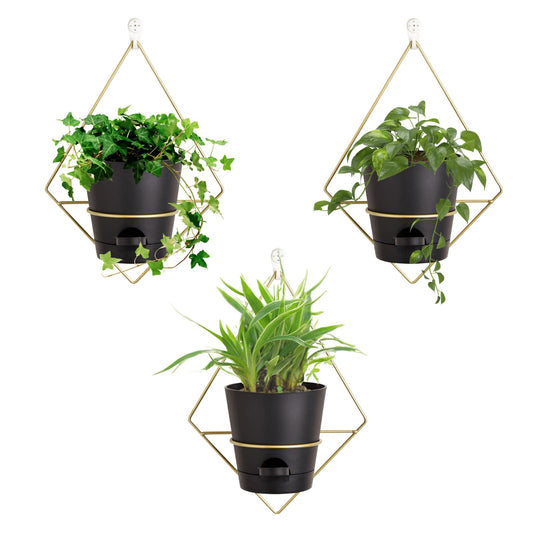 Montresor Set of 3 Gold-White 5 inch Wall Planters for Indoor Plants