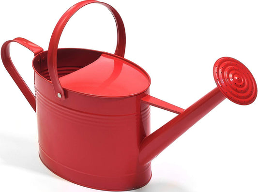 Montresor Red Watering Can 100 Count
