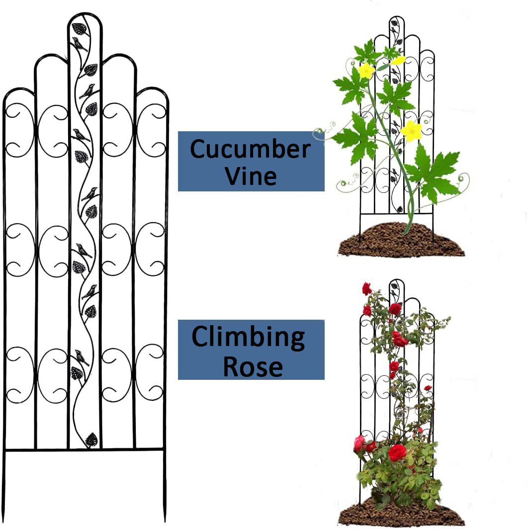 Montresor Online Heavy Duty Trellis for Garden and Climbing Plants and Vines