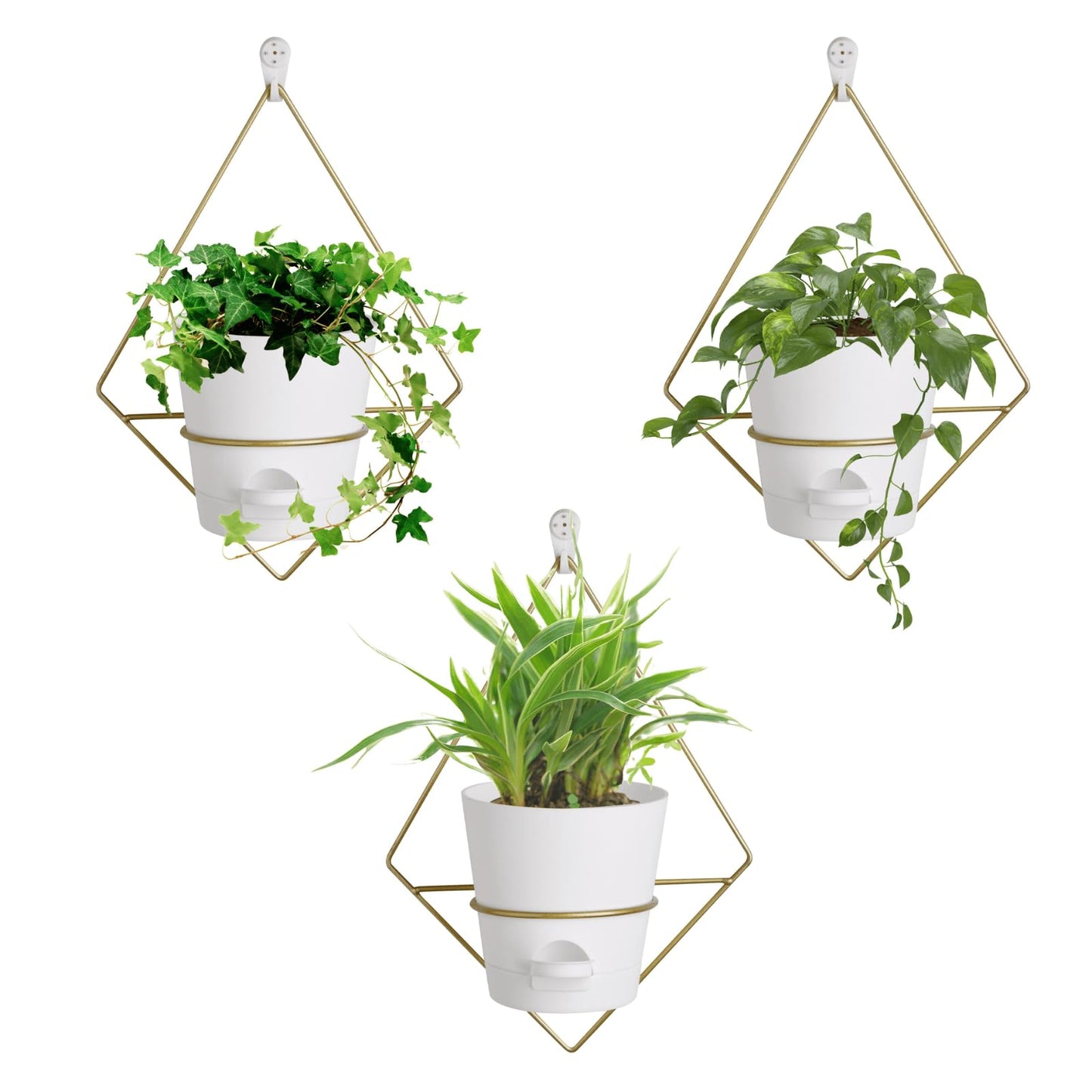 Montresor Set of 3 Gold-White 5 inch Wall Planters for Indoor Plants