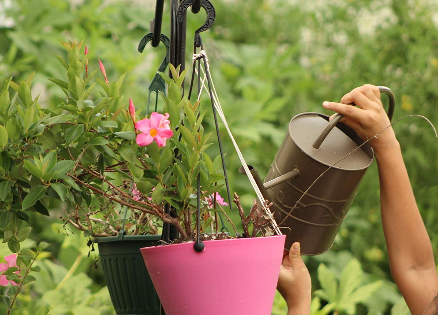 Montresor Bronze Watering Can for Outdoor and Indoor Plant Watering