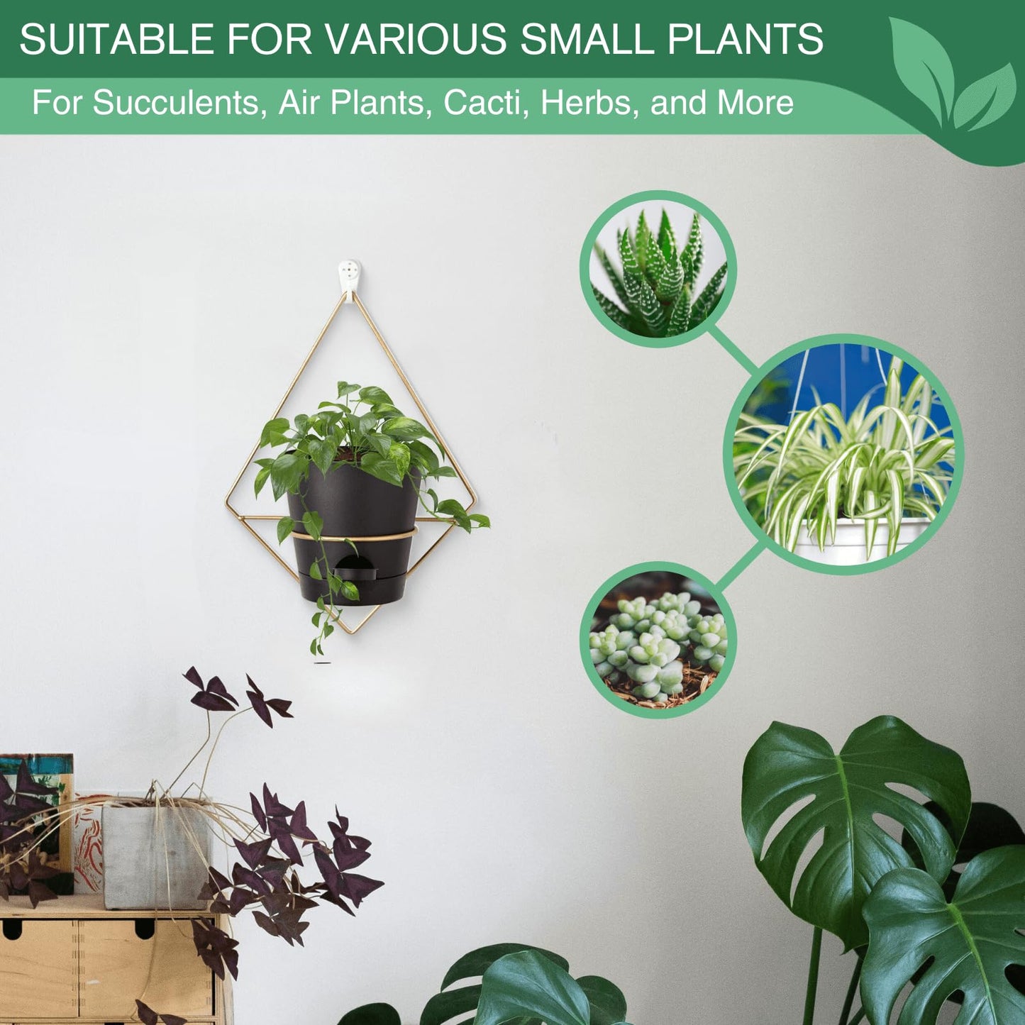 Montresor Set of 3 Gold-White 5 inch Wall Planters for Indoor Plants