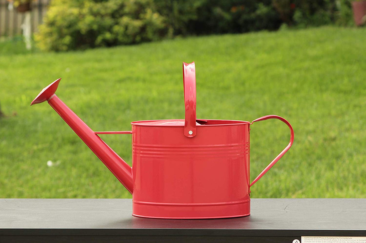 Montresor Red Watering Can 100 Count