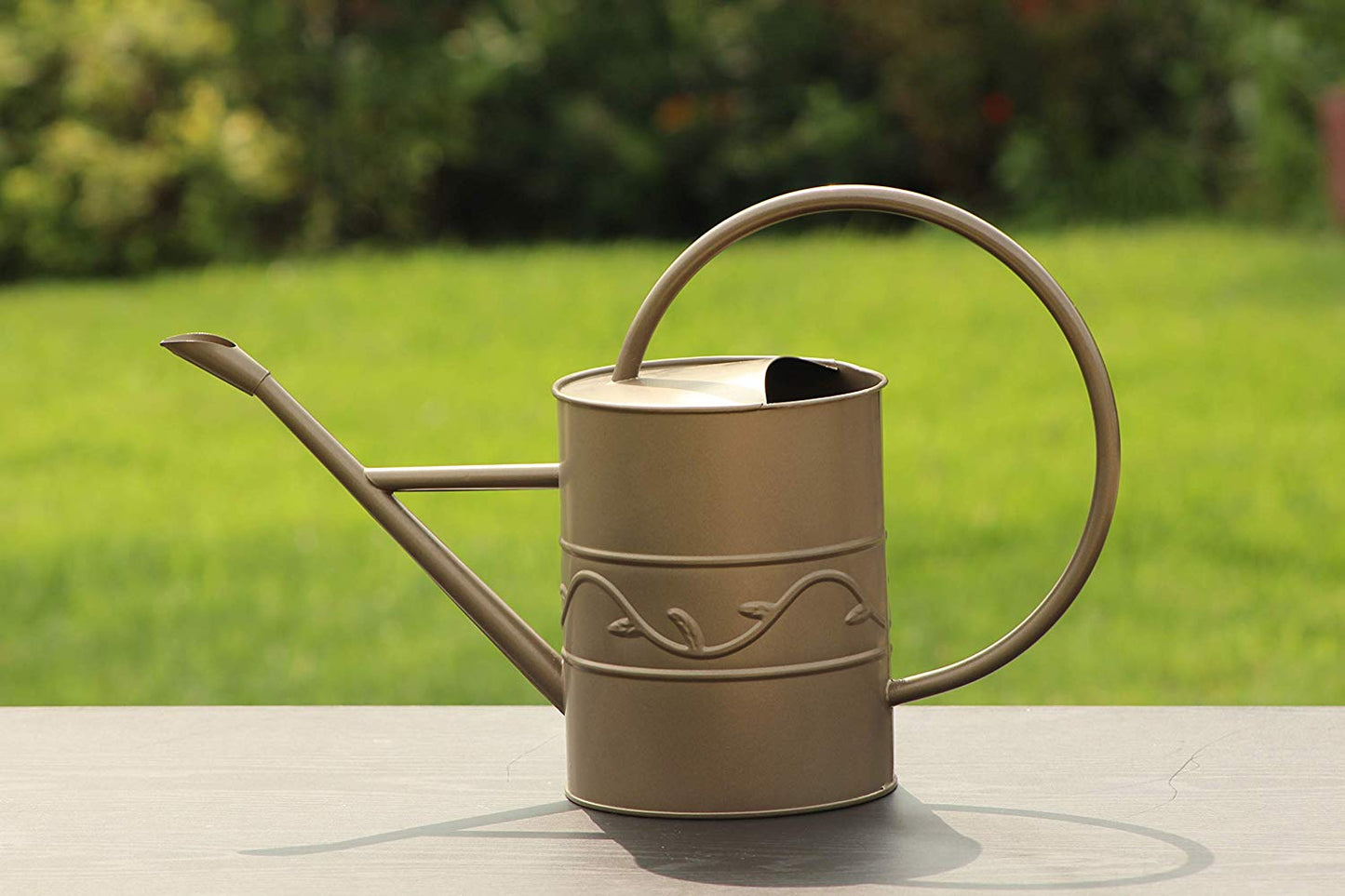 Montresor Bronze Watering Can for Outdoor and Indoor Plant Watering