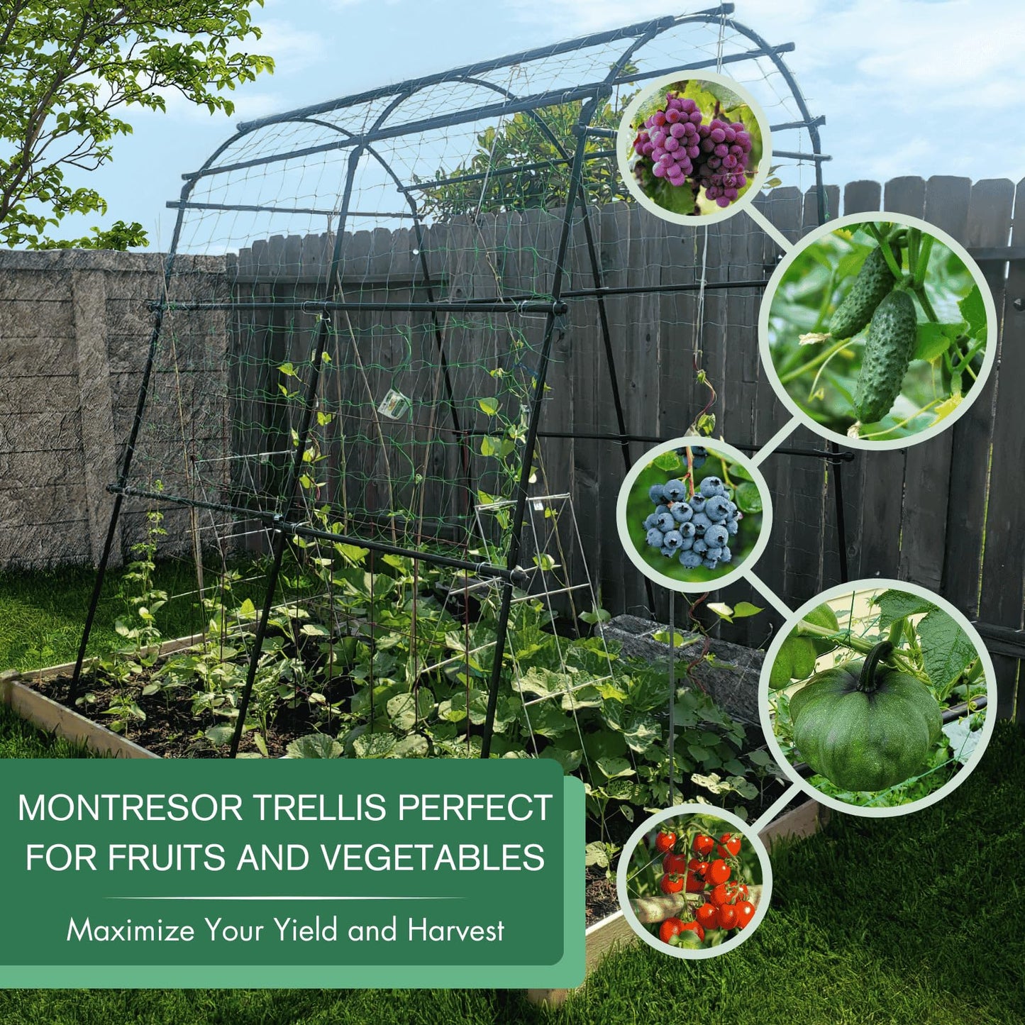 Montresor Garden Arch Trellis 7FT Extra Tall Polyethylene-Coated Stainless Steel Garden
