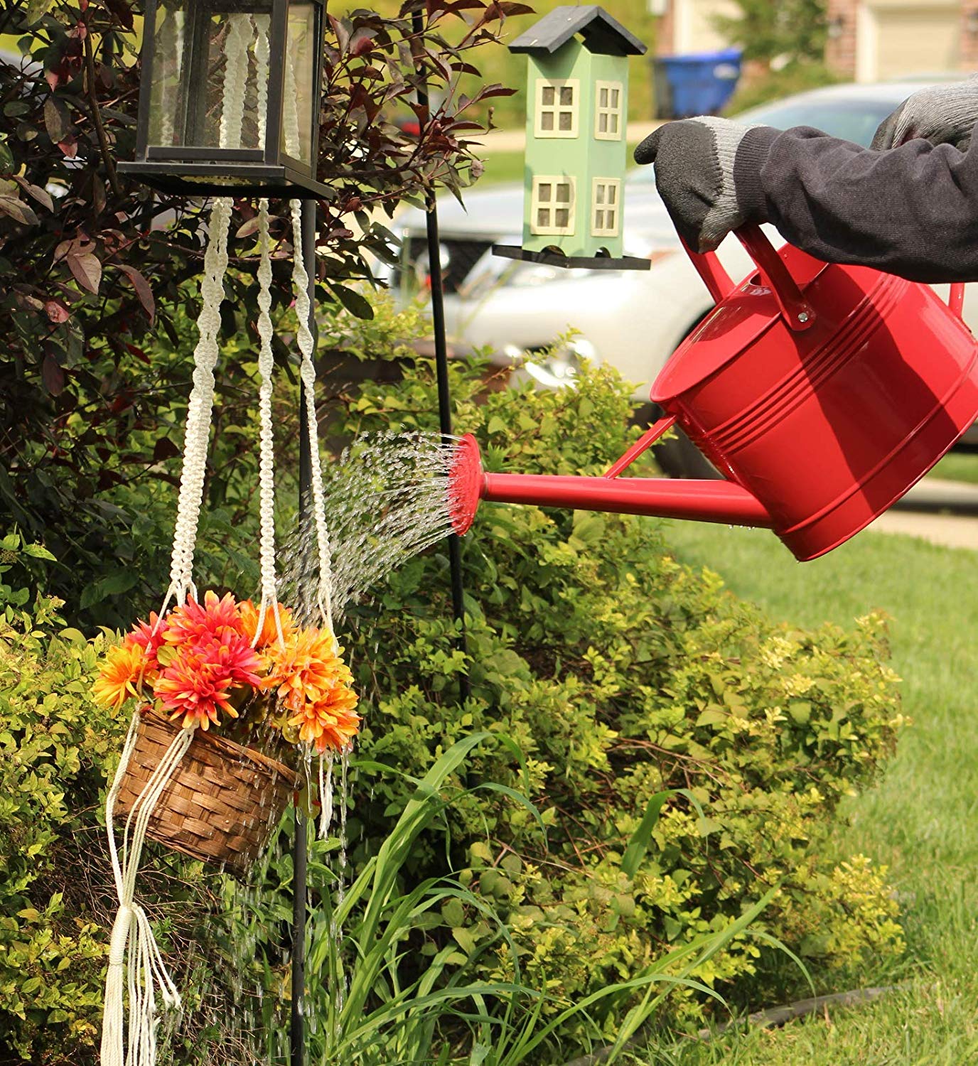 Montresor Red Watering Can 100 Count