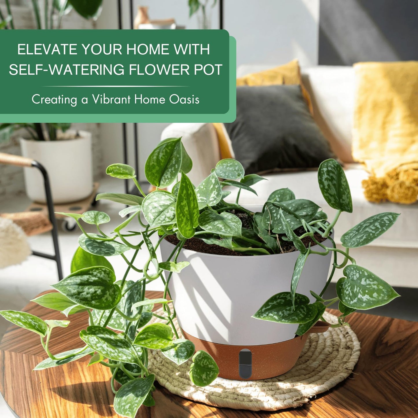 12/10/8 Inch Self Watering Pots for Indoor Plants Plastic Large Plant Pot for Outdoor Plants, Water Level Window & Spacious Reservoir Flower Pots Decorative Planter with Drainage and Tray (Black)