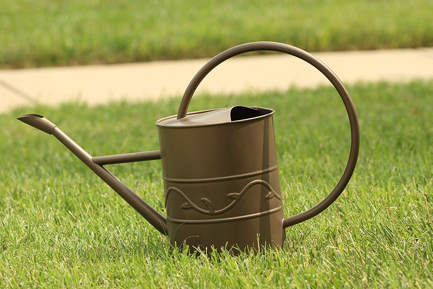 Montresor Bronze Watering Can for Outdoor and Indoor Plant Watering