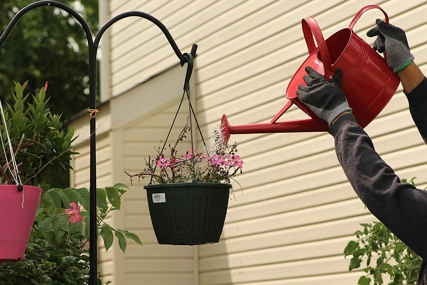Montresor Red Watering Can 100 Count