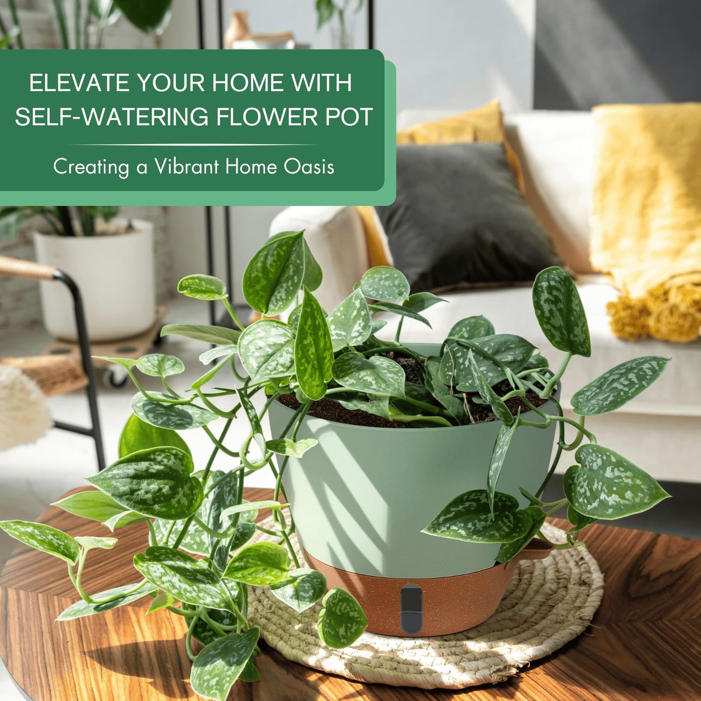 12/10/8 Inch Self Watering Pots for Indoor Plants Plastic Large Plant Pot for Outdoor Plants, Water Level Window & Spacious Reservoir Flower Pots Decorative Planter with Drainage and Tray (Black)