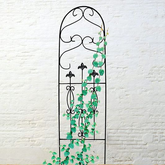 Montresor Spade Design Trellis (1 Pack) for Garden and Climbing Plants and Vines