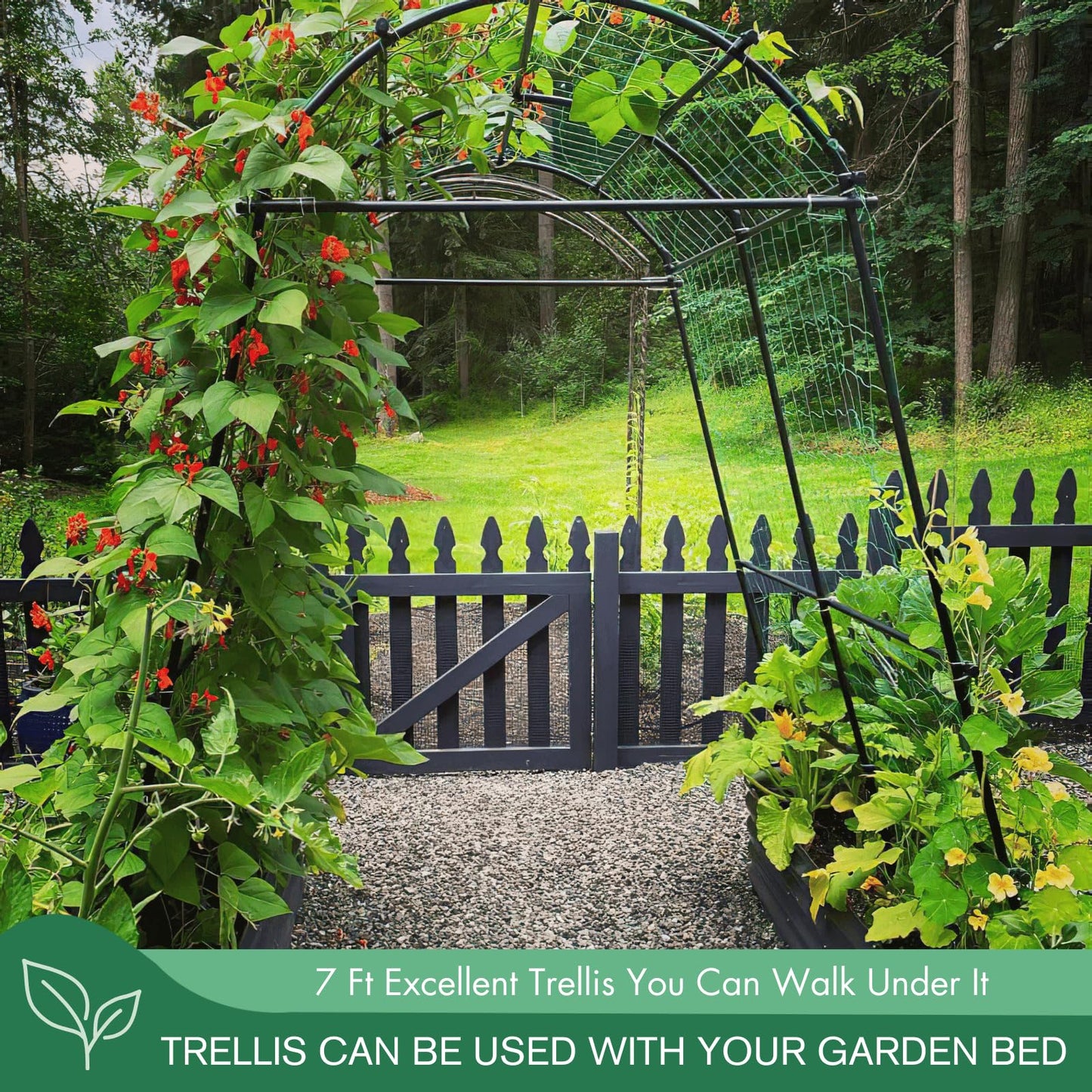 Montresor Garden Arch Trellis 7FT Extra Tall Polyethylene-Coated Stainless Steel Garden