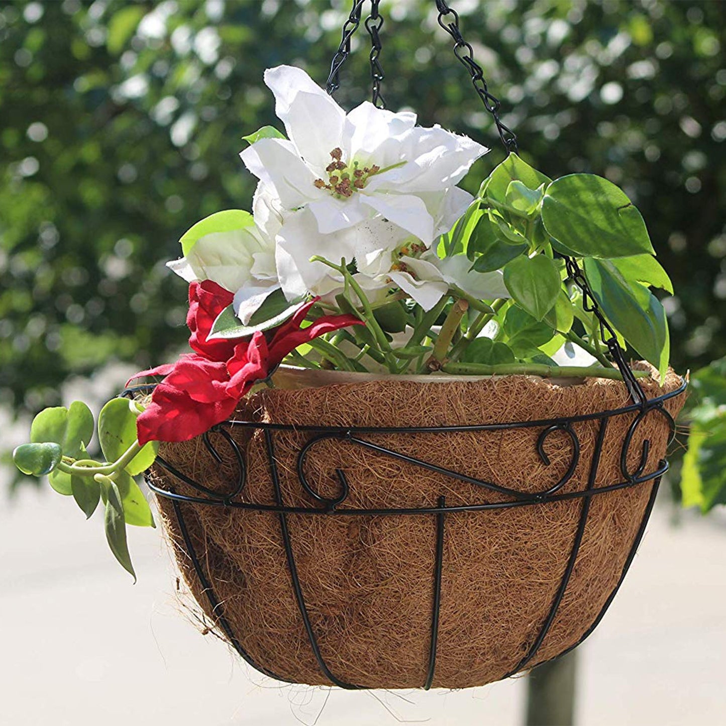 Montresor Metal Hanging Planter Basket with Coco Coir Liner Round Wire