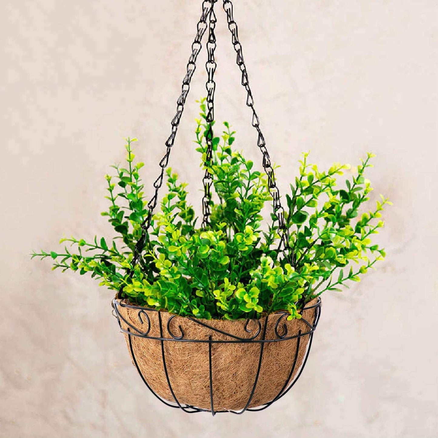 Montresor Metal Hanging Planter Basket with Coco Coir Liner Round Wire