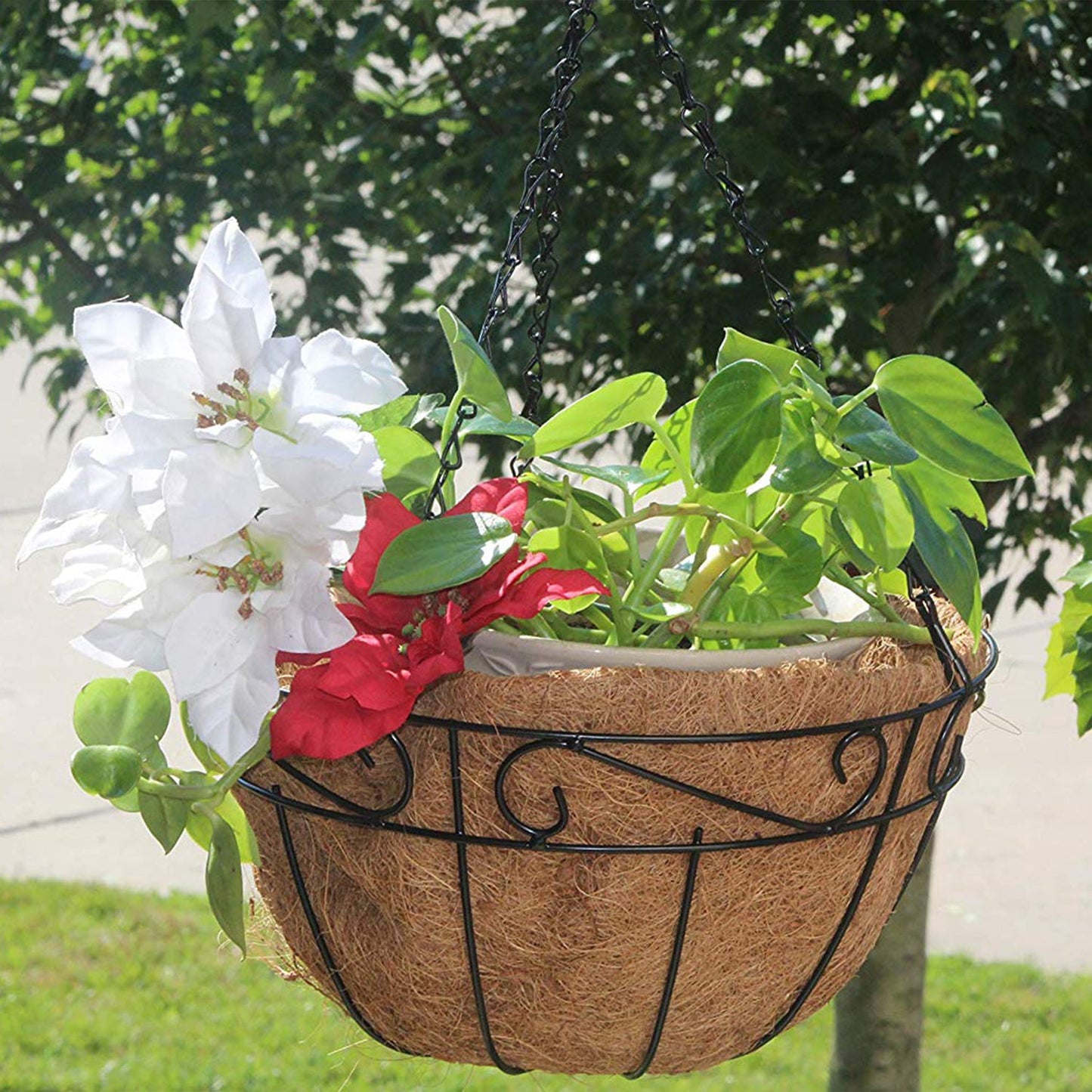 Montresor Metal Hanging Planter Basket with Coco Coir Liner Round Wire